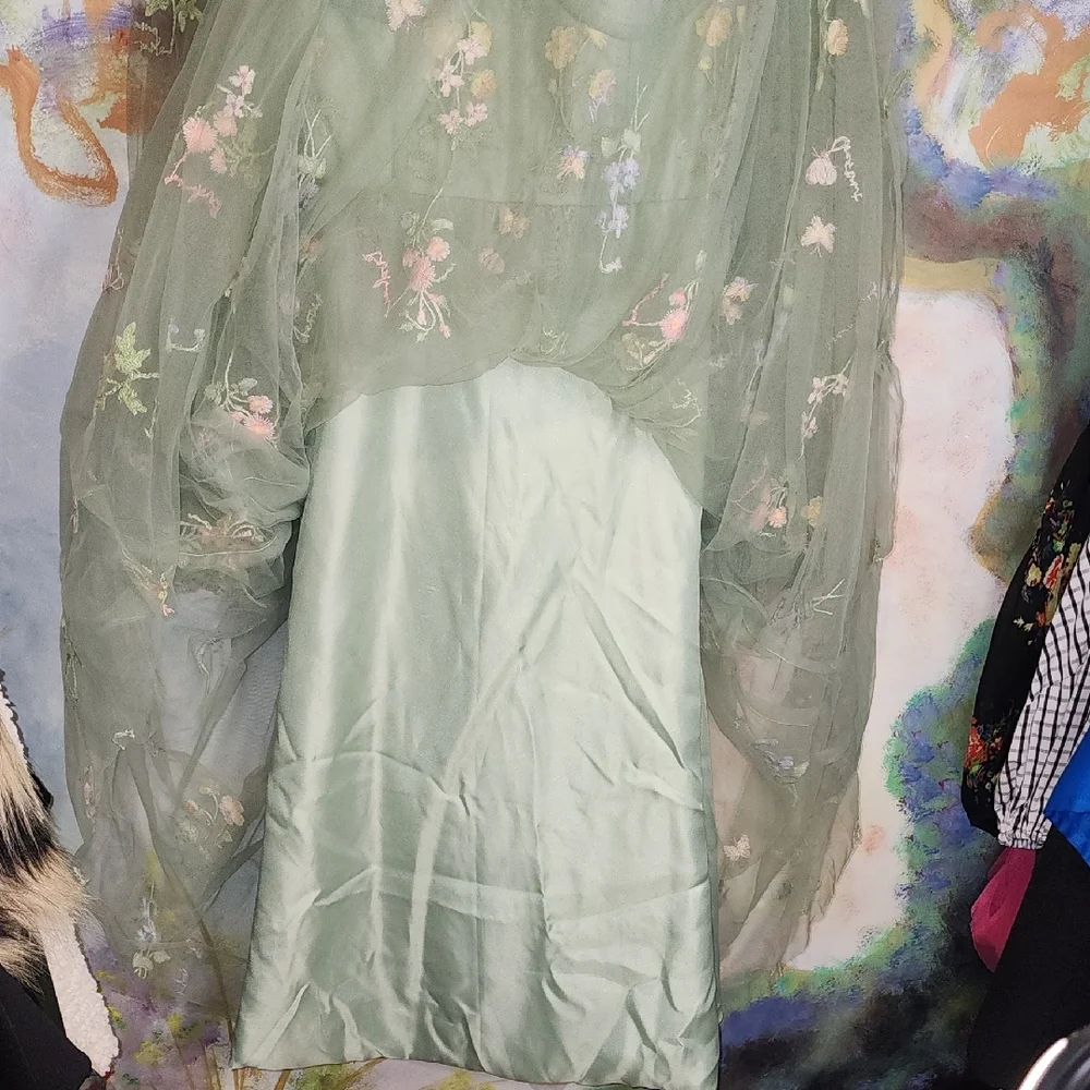 Elegant Floral Fairy Princess Corset Lng Sleeve Maxi Dress in Green Pink Floral - Picture 7 of 14